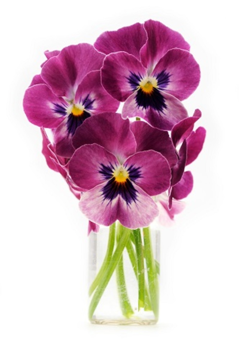 birthday flowers bouquets