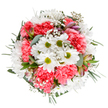This radiant bouquet is a vivid tribute to the renewal and joy found throughout Old Oak Common, expertly designed by skilled local florists to embody the cheerful spirit of the season. At the center, crisp white daisies with bold green centers shine forth with clarity, surrounded by lush coral-pink carnations whose lush, ruffled petals add depth and a welcoming pop of colour. Clusters of pure white baby's breath drift among the larger blossoms, lending an airy softness reminiscent of gentle clouds above the open spaces of Wormwood Scrubs. Hints of blush-tipped alstroemeria and velvet eucalyptus leaves peek out, adding delicate fragrance and balancing the composition's colour palette. This harmonious arrangement, composed with equal parts artistry and devotion, radiates a hopeful, uplifting energy-perfect for marking birthdays, sending congratulations, or lighting up the everyday with a dose of natural beauty from NW10. Its tranquil exuberance and layered textures evoke warm memories of community celebrations and garden gatherings in Old Oak Common, creating a bouquet that feels both modern and timeless, crafted for delivery or display in homes and offices throughout the local area.